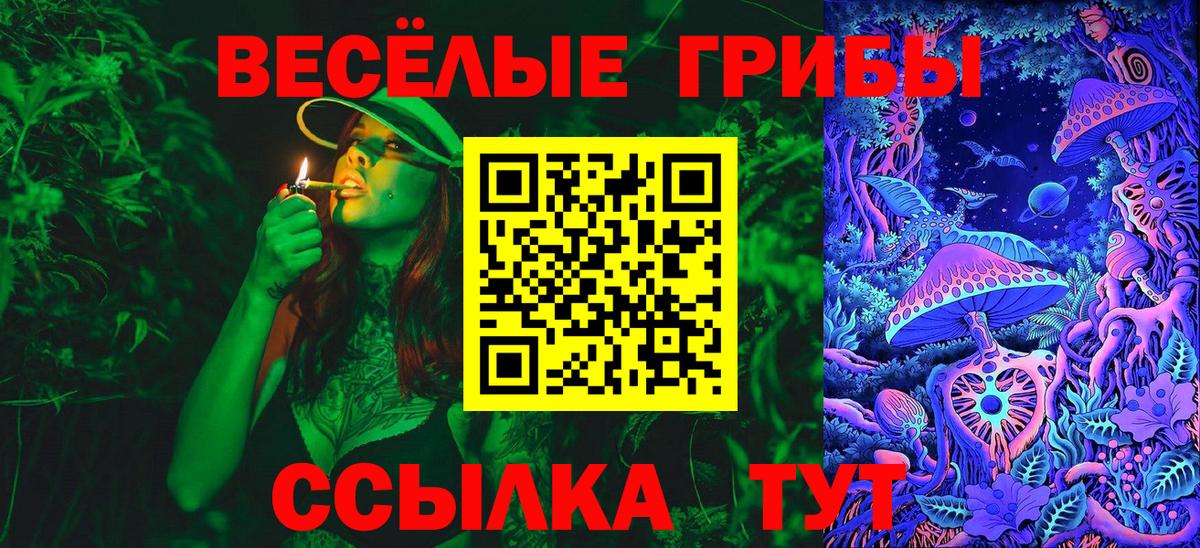 Галлюциногенные грибы мицелий  как найти закладки  Нижнекамск  Вход с VPN  Псилоцибиновые грибы Psilocybine cubensis 